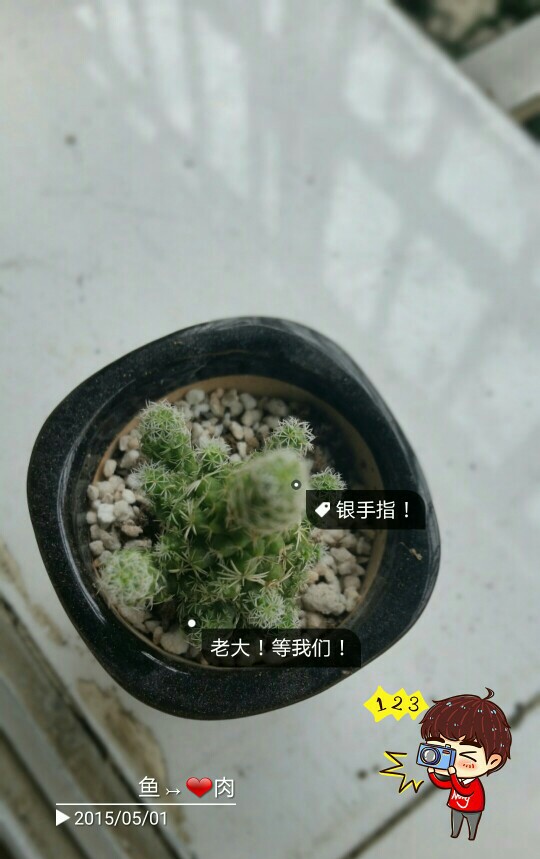 银手指