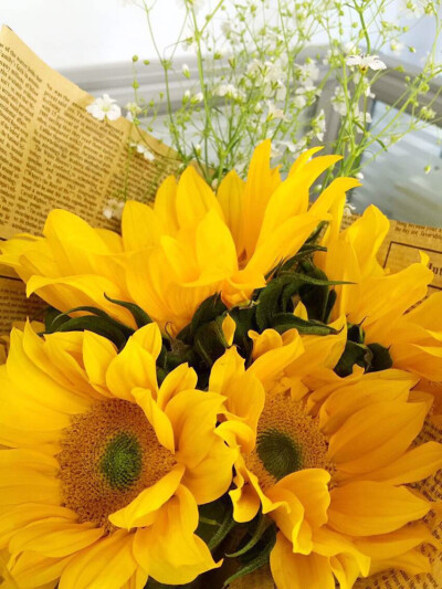 向日葵。女友花店出品。