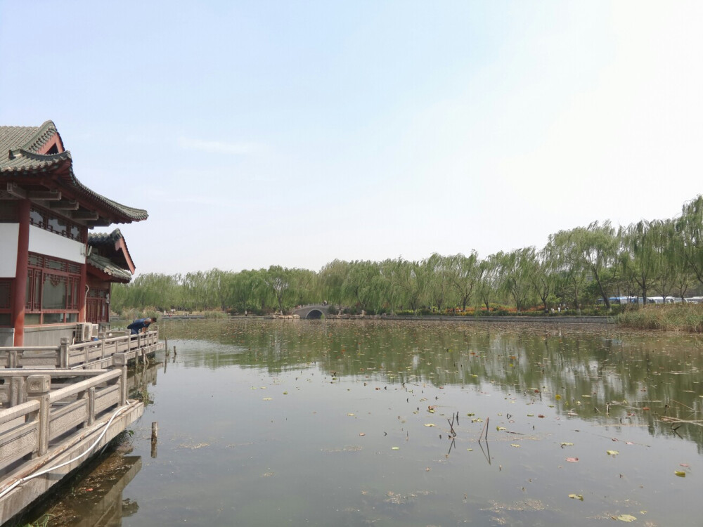 皇上，还记得大明湖畔的夏雨荷么