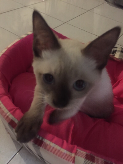 第一次跟一个人回家，一定要萌萌哒。