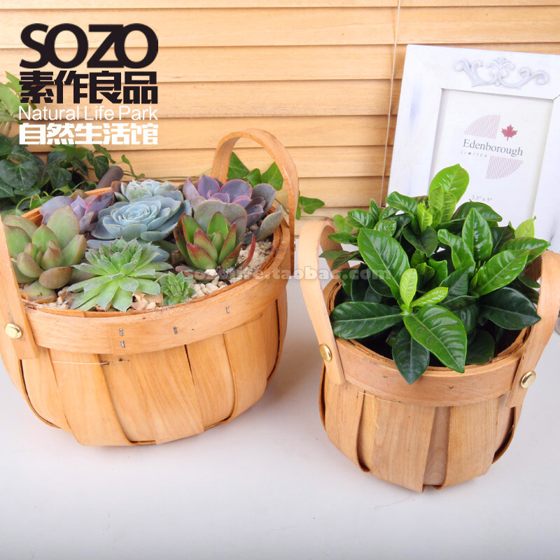 sozo素作良品/新品观叶多肉植物盆栽组合套装/宜没阳光弱光环境；母亲节礼物；更多新品尽在淘宝店铺：素作良品