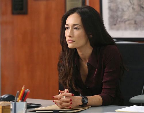 《跟踪者》是美国CBS电视台出品，里兹·弗德兰德执导，李美琪（Maggie Q）、迪伦·麦克德莫特、达伦·卡加索夫、维克多·罗塞克、玛瑞娜·克拉维诺、艾瑞克·斯托克林等主演的惊悚悬疑电视剧。该剧讲述了来自洛杉矶警署威胁管理组（Threat Management Unit）的侦探Beth和Jack调查并处理“跟踪案件”。该剧第一季于当地时间2014年10月1日播出，目前仍在更新中，暂未完结。