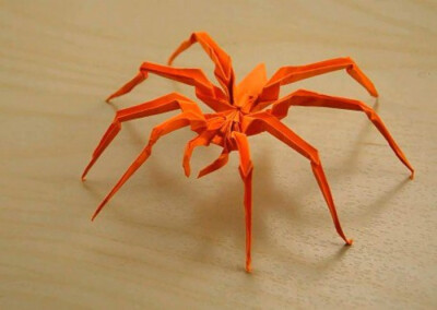 蜘蛛折纸 威化❤曲奇