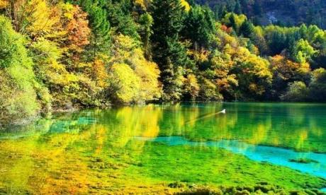 【五彩九寨沟：看着就醉了】“人间仙境”、“童话世界”，你是如此的让人迷醉，九寨沟的秋天是如此的浪漫美丽，五彩斑斓的树叶，清澈的山间湖泊，丰富多彩的自然风景，有山有水，在这里呆上一天真的会让人久立，感觉像在画中游一般，美了美了，醉了醉了。人间如此美景，你什么时候去？