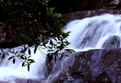 【八寨沟】八寨沟，位于广西十万大山腹地的贵台镇洞利村境内，是钦州大寺江的源头河之一。八寨沟旅游区气候属亚热带季风气候，冬无严寒、夏无酷暑。气候宜人，景色优美，是新兴的优秀旅游度假地。八寨沟风光秀丽，文化底蕴深厚，历史遗迹丰富，可开展爱国爱乡教育、革命传统教育。