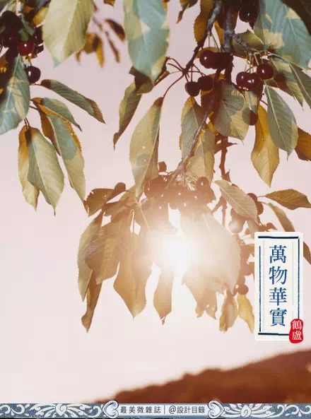 關於夏日的詩詞，最喜高骈的《山亭夏日》所寫的“綠樹陰濃夏日長，樓台倒影入池塘。水晶簾動微風起，滿架薔薇一院香”。孟浩然之“山光忽西落，池月漸東上。散發乘夕涼，開軒臥閑敞”，閒適之情令人向往。“湖山勝處放翁家，槐樹陰中野徑斜。水滿有時觀下鹭，草深無處不鳴蛙”的陸家，最適消夏了。