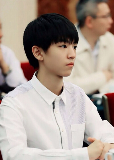 TFBOYS 王俊凯 cr.logo 150504 人民大会堂 饭修