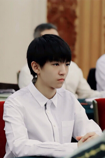 TFBOYS 王俊凯 cr.logo 150504 人民大会堂 饭修