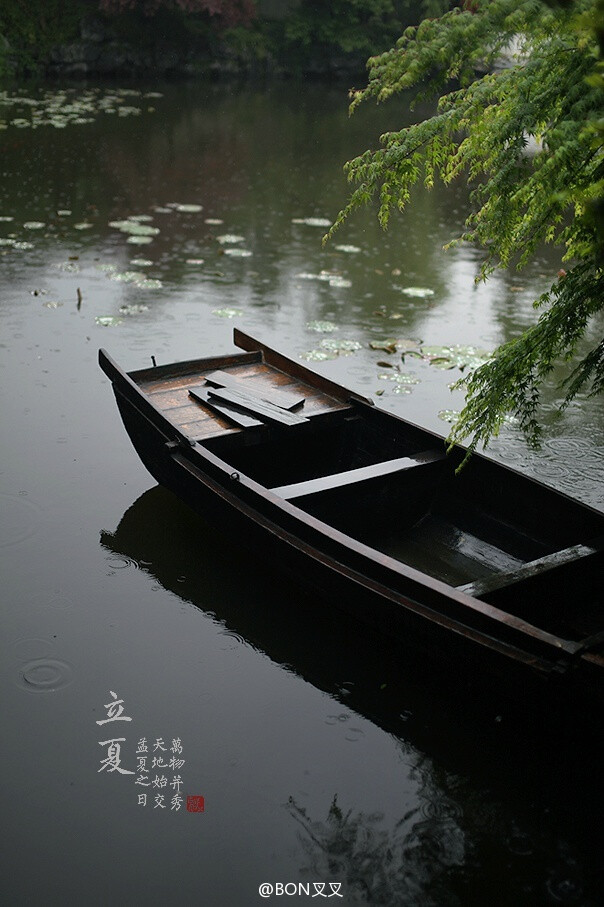 【立夏】孟夏之日，天地始交，万物并秀。斗指東南,維為立夏,萬物至此皆長大,故名立夏也。 摄影@BON叉叉