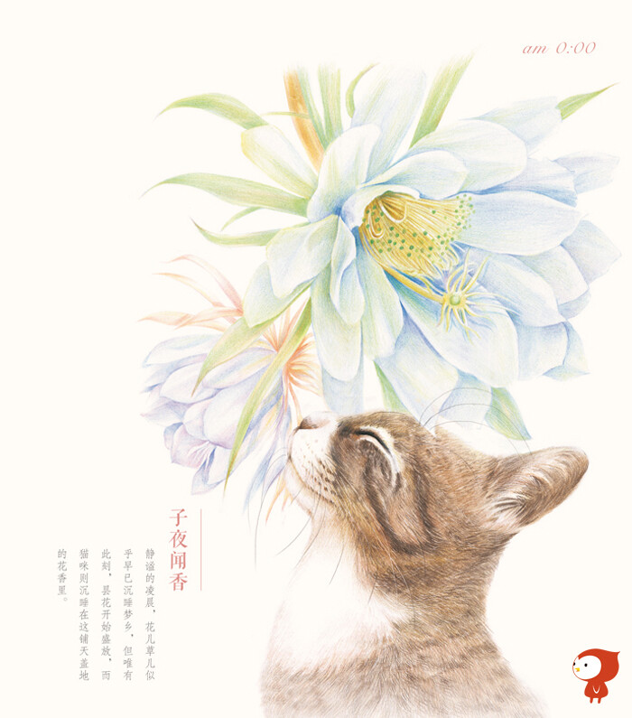 莳花绘.花猫-用色铅笔描绘花与猫的12次邂逅