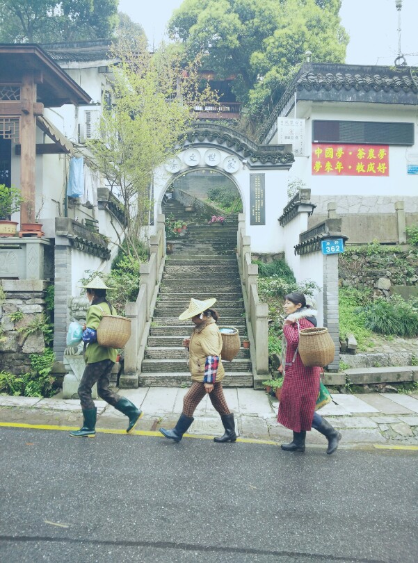 回家吃午饭喽～