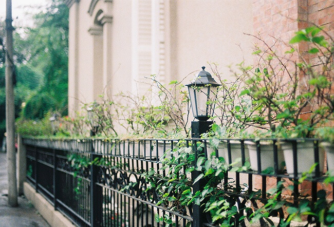 “自是寻春去校迟,不须惆怅怨芳时.狂风落尽深红色,绿叶成阴子满枝.”