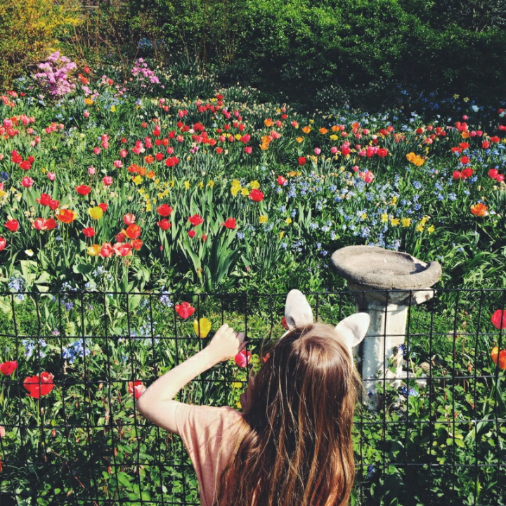 Spring garden,Brooklyn by Kirsten Rickert