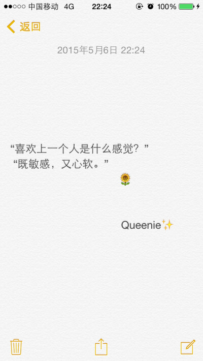 备忘录文字。“喜欢上一个人是什么感觉？” “既敏感，又心软。”