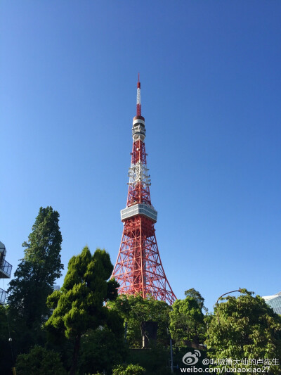 tokyo tower 东京塔 cr:logo 不妥删