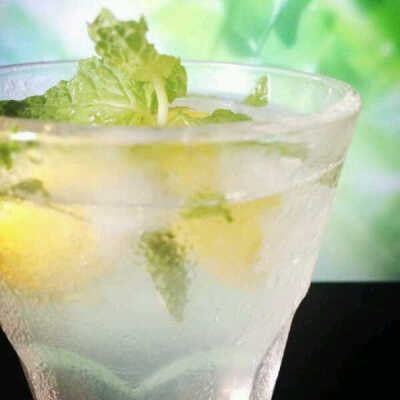 mojito