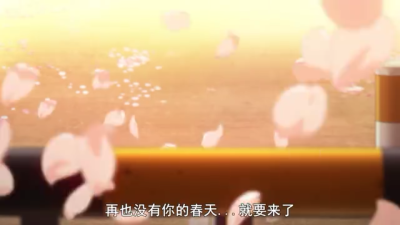 四月是你的谎言 再也没有你的春天