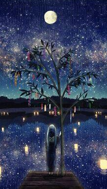 二次元 手机壁纸