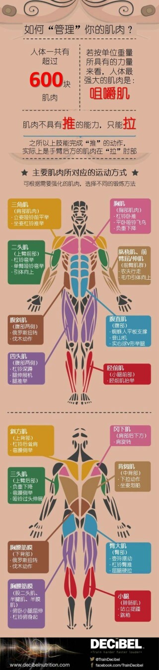 如何管理肌肉