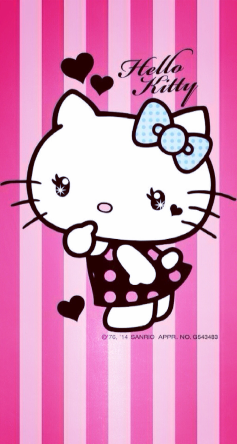 kitty是只胖猫咪