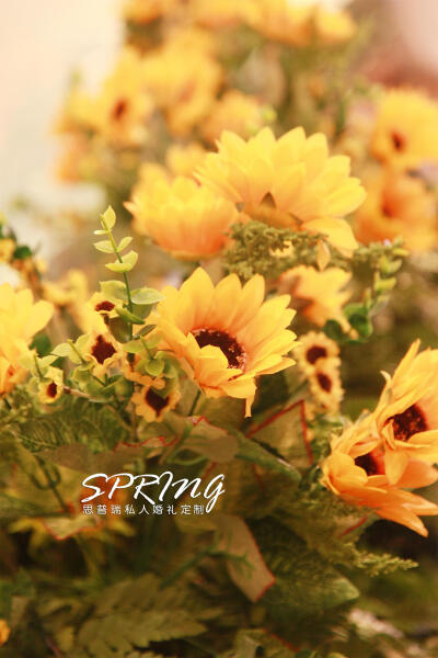 12岁是人生第一圈的结束、第二圈的开始。在小阿沐12岁生日这特别的一天，邀请各位亲朋，共同来见证小寿星这历史时刻的转折点。