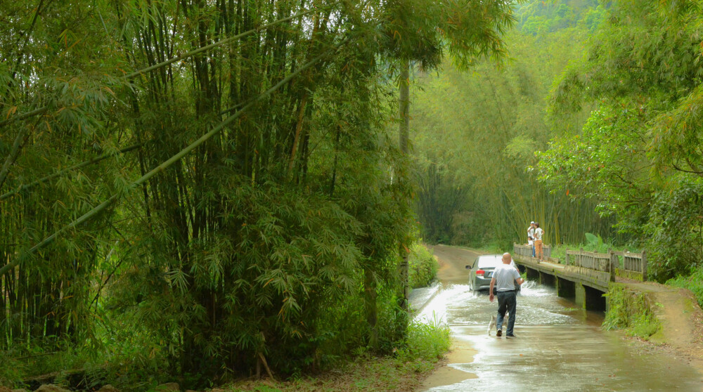 深山里面的小桥和涉水车道