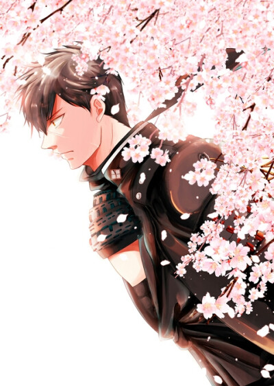 【侵删】花冷え | 設楽ひまり id=50270684 #pixiv#刀剑乱舞#同田贯正国#樱花#少年#插画#手绘#同人#漫画#唯美#游戏#