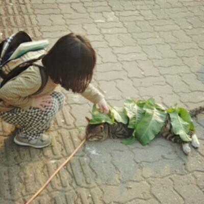 怕睡着的猫咪着凉❤ 小孩子的世界超美好 心都化了 图片来源微博