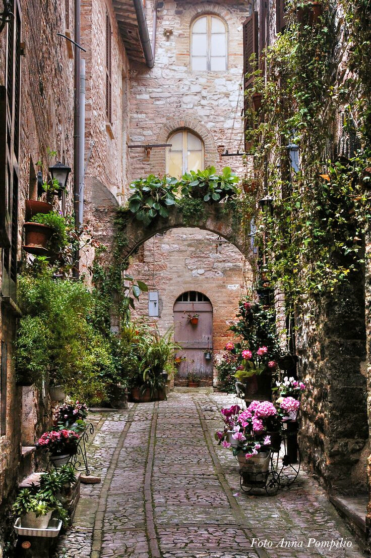 Spello, Umbria, Italy。意大利翁布里亚斯佩罗。有着田园诗般的乡村和山野，风景如画的翁布里亚被誉为“意大利的绿色心脏”。而斯佩罗本是非常素朴的中世纪小城，和翁布里亚其他城市差不多，石头是绝对的主角。斯佩罗建筑的百分之八十都是罗马时代遗迹，也就是说，斯佩罗是翁布里亚最古罗马的小镇。斯佩罗的鲜花节，意大利语是Infiorata，其实是翁布里亚小镇斯皮罗的圣体瞻礼仪式，这一天，斯皮罗的所有主要街道和广场上，都铺满干花屑组成的花毯，美轮美奂。这里的人格外喜爱鲜花，即使不是鲜花节，所有窗台阳台也都花团锦簇，方显清凉和艳丽。