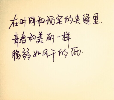 手写。青春。美文美段。