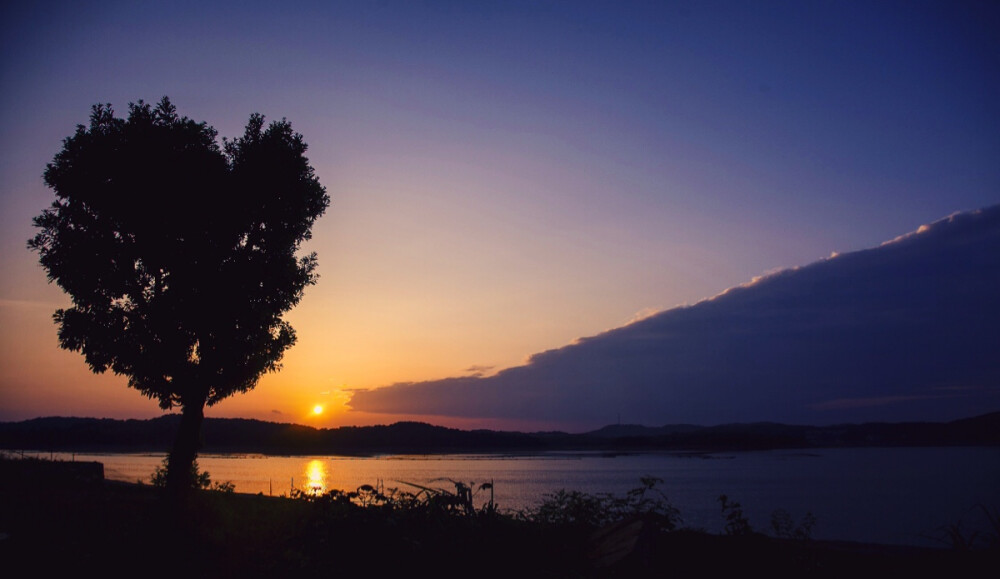 风景 旅行 杂志 海 河 夕阳