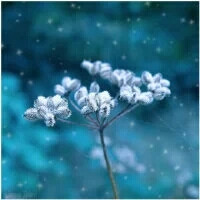 还记得那年冬天吗？