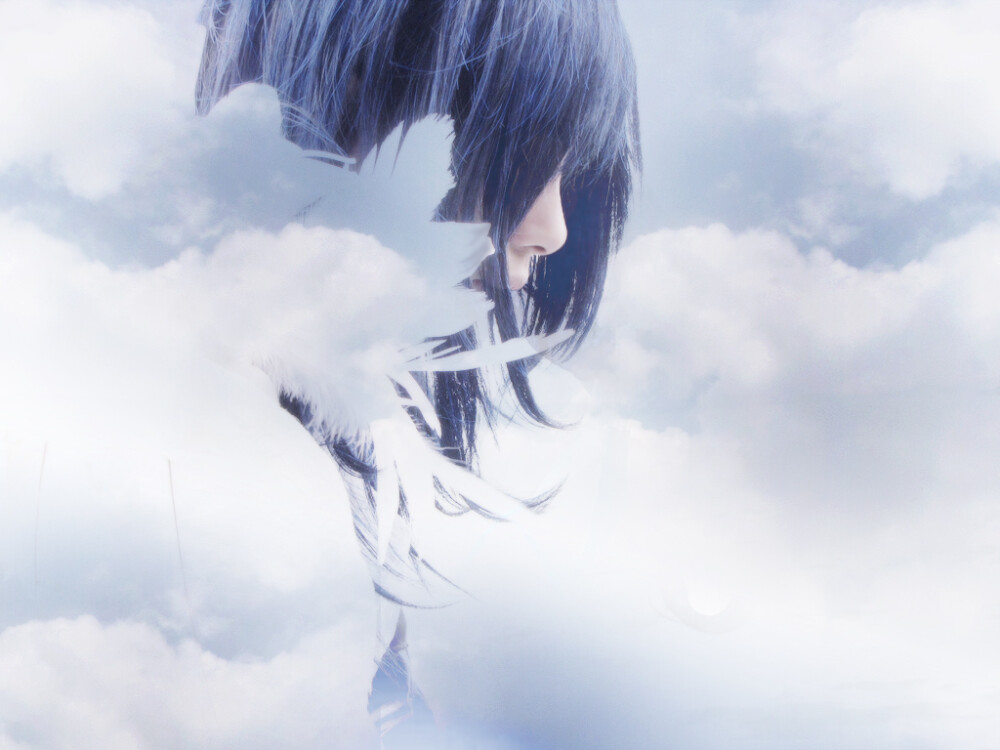 白凤cos