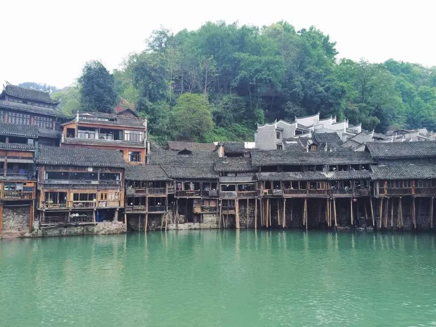  手机摄影.新浪微博求粉 @小熊饼干泡牛奶