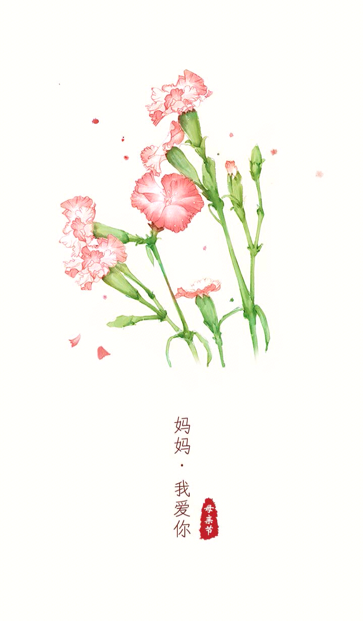 母亲节❤