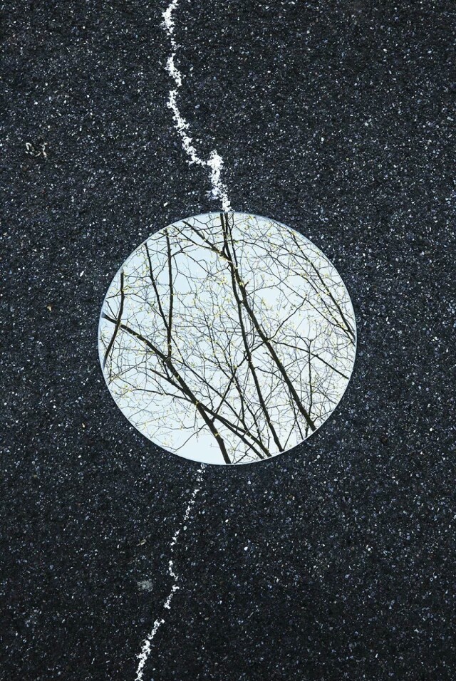 摄影师sebastianmagnani的这组作品使用放在地上的圆镜子拍摄