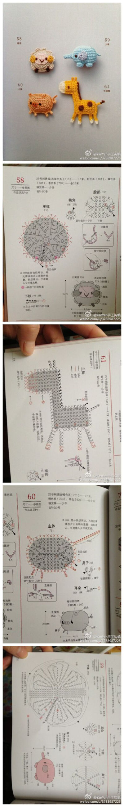 小鹿 老虎之类