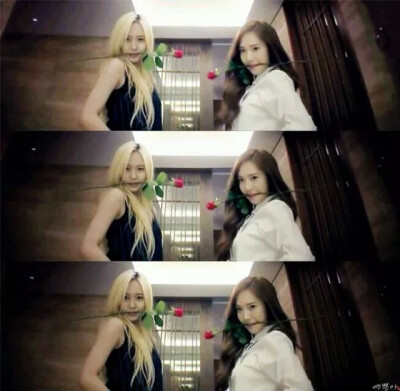 Jessica and Krystal （郑氏姐妹）