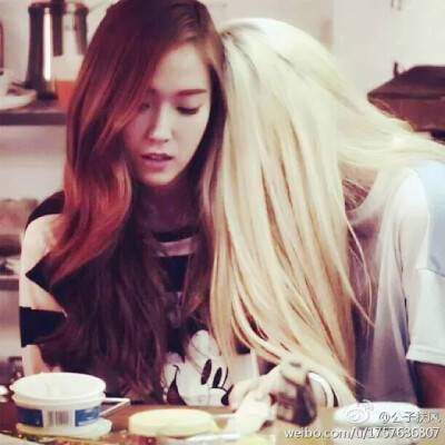 Jessica and Krystal （郑氏姐妹）