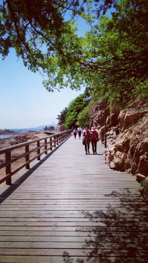 青岛八大关景区