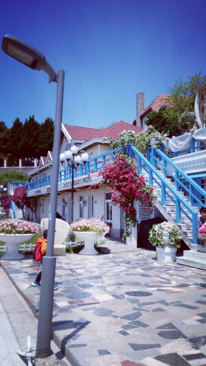 青岛八大关景区