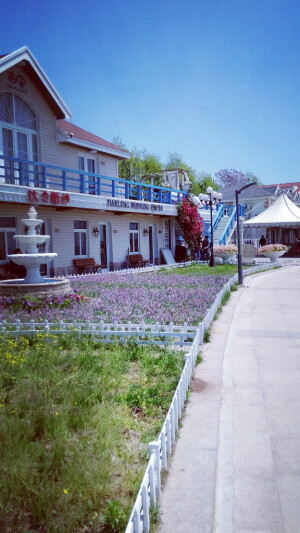 青岛八大关景区