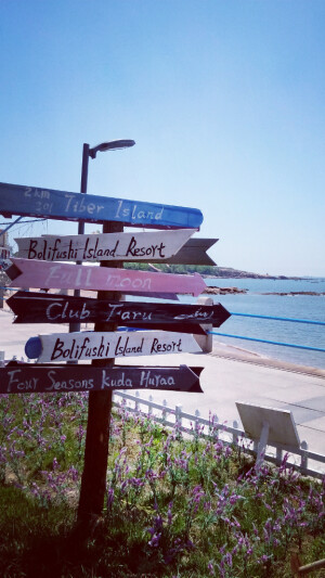 青岛八大关景区