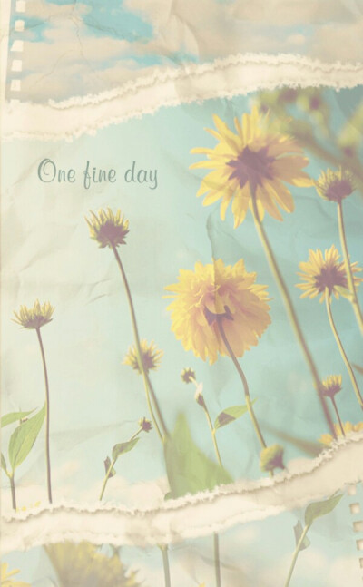 〔壁纸〕sun flower...