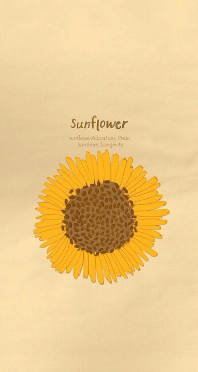 〔壁纸〕太阳花。