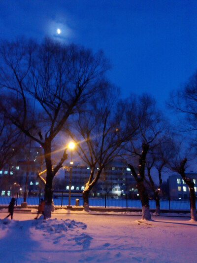 很久以前的雪，夜