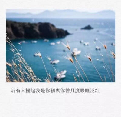 那些曾触动心灵的句子