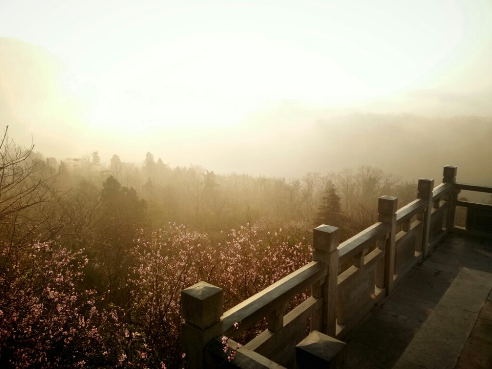 南京栖霞山清晨的太阳