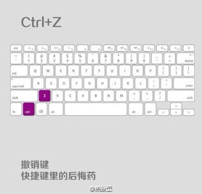 Ctrl+Z