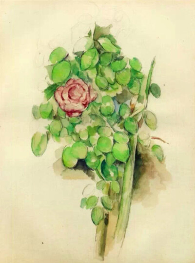 图为法国著名画家保罗·塞尚（1839-1906）的作品《玫瑰花丛》。“哲理虽智，爱却比她更慧；权利虽雄，爱却比她更伟”。（王尔德《夜莺与玫瑰》）